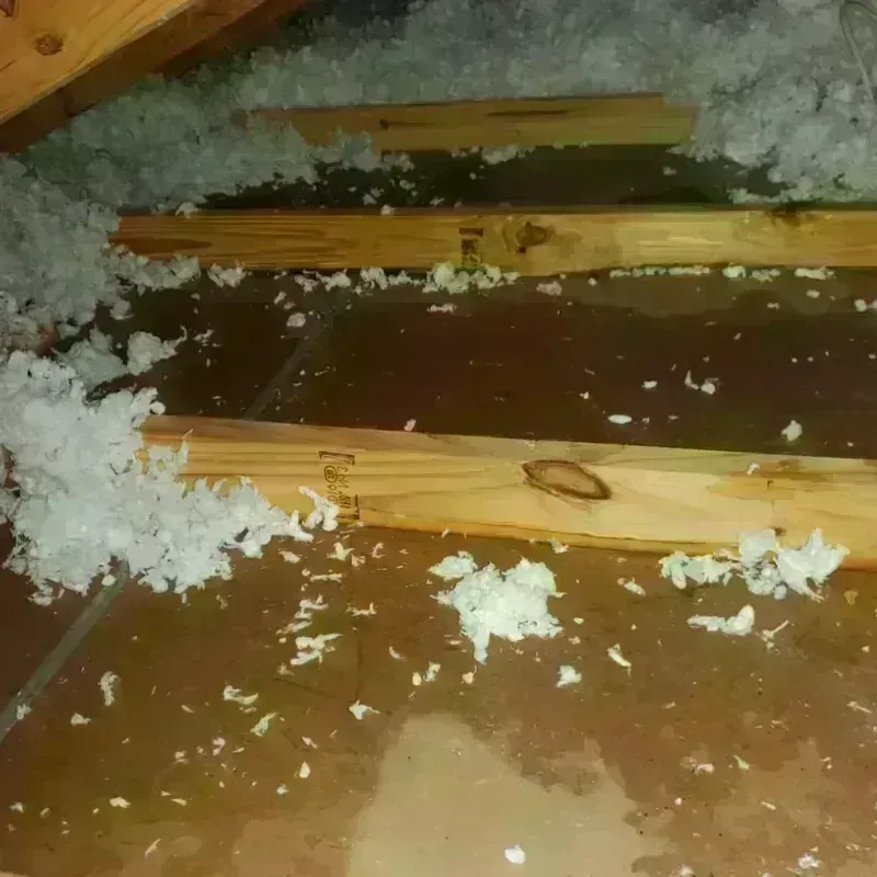 Attic Water Damage in Sandwich, IL