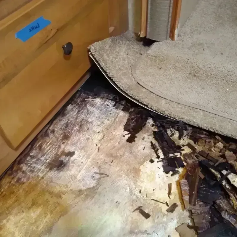 Wood Floor Water Damage in Sandwich, IL